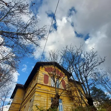 Vv Way - Lisica Zvitorepka Λιουμπλιάνα