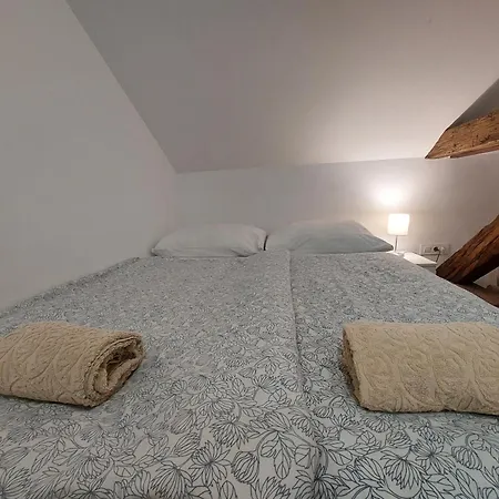 Apartma Vv Way - Lisica Zvitorepka