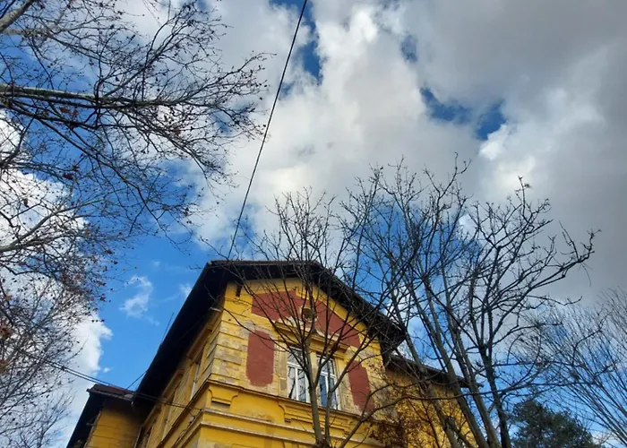 Vv Way - Lisica Zvitorepka Lublaň